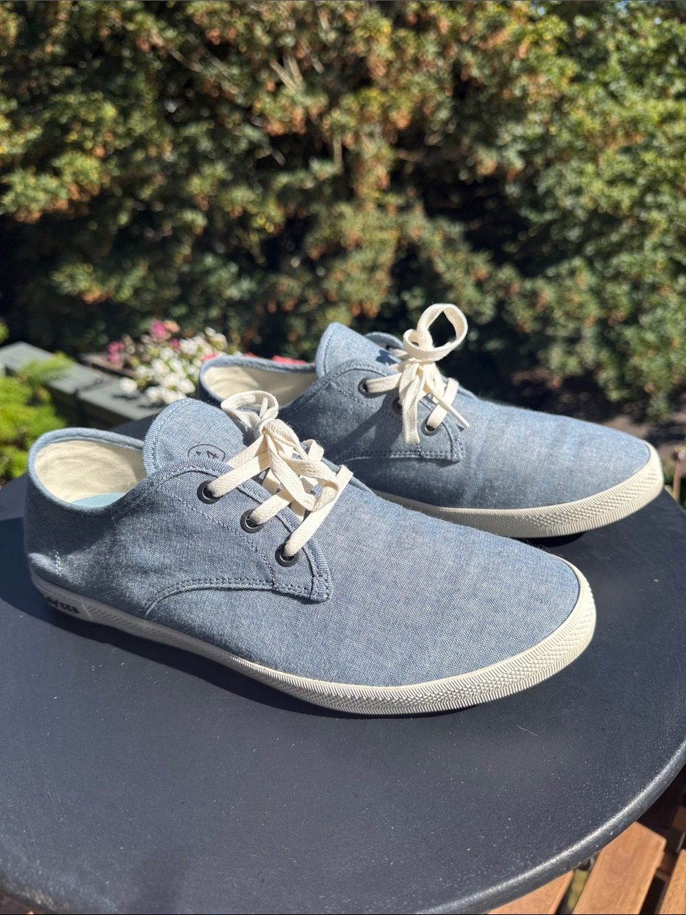 Seavees Sixty Six sneaker - 9.5 Like New